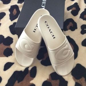COACH Ulla padded rubber pool slides NEW size 8